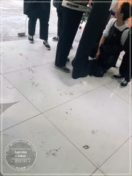 -M造型