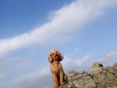 -小黑石海滨浴场·停车场