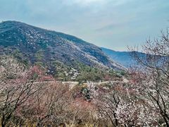 -妙峰山风景名胜区