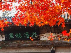 -西湖外事游船(花港观鱼码头)