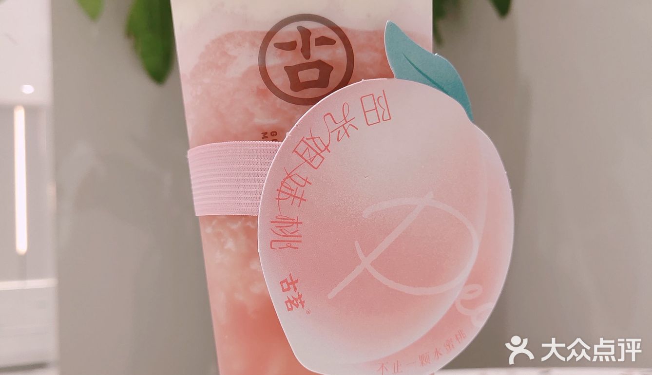 芝士多肉桃桃她终于来了加油