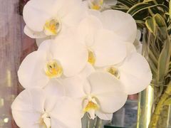 -MCJ-花店(西罗园店)