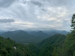 -黑河国家森林公园