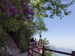 -老君山风景名胜区