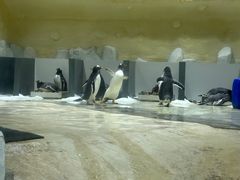 -威海华夏城景区