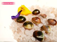 -闻见中国海南菜(K11店)