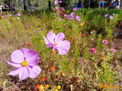 -野鸭湖国家湿地公园