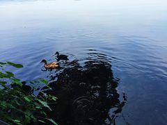 -苏堤停车场