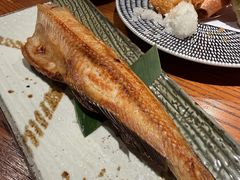 进口六线鱼-九州酒场ひこぞう(1号店)