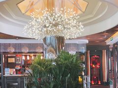 -润园四季椰子鸡火锅(海上世界店)