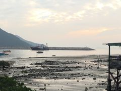 -大澳