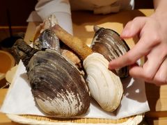 -银座岩