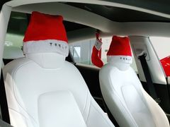 -TESLA 特斯拉(深圳观澜特斯拉直营钣喷中心)