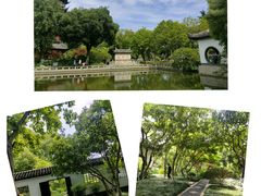 -红梅公园