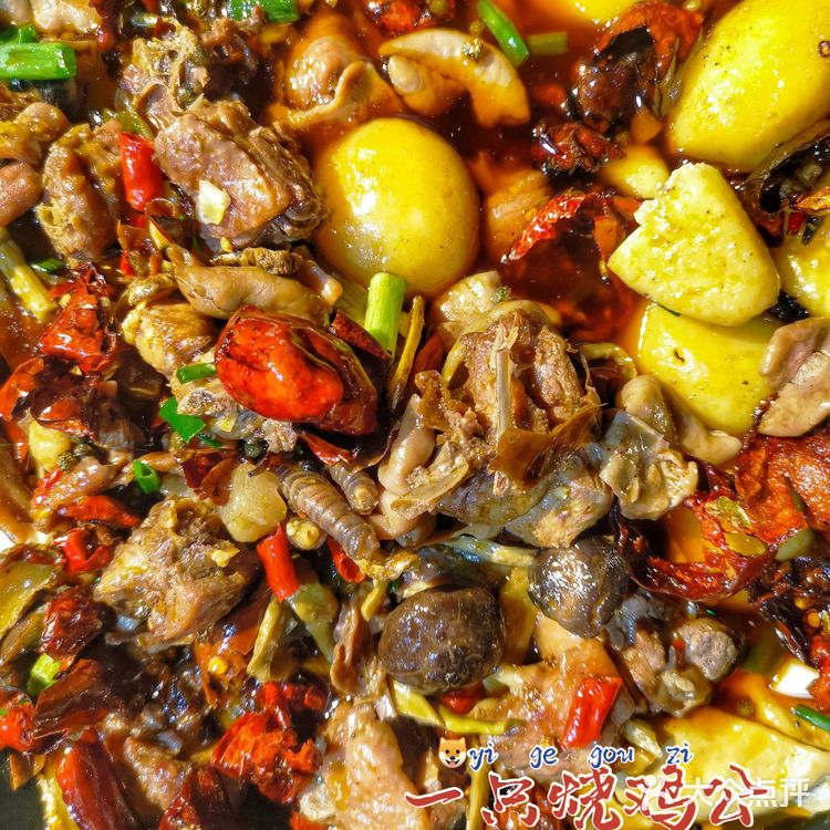 重庆美食[胜利]｜一只烧鸡公🐔吃跑山鸡本味，又香又糯好好吃😋