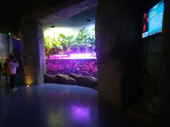 -梦幻海洋王国(吾悦广场张家港店)