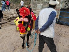 -陕西黄河壶口瀑布旅游区