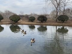 -西安浐灞国家湿地公园