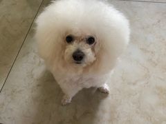 -宠颐生嘉德动物医院