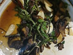-滇铺子·云南特色菜·第九届野生菌美食节(东风东路c86店)