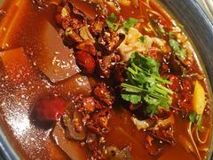 毛血旺-北京老铺烤鸭(西稍门店)