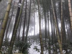 -江南天池高山汤泉城