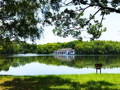 -上海共青森林公园