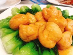 菜心鱼面筋-燕云楼(云南路店)