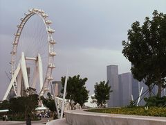 -宝安西湾红树林湿地公园