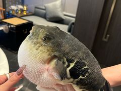-鲐赏河豚(长寿店)