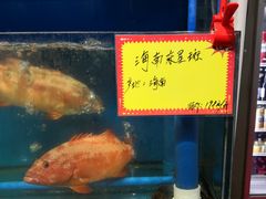 -蚝专家(北滘店)