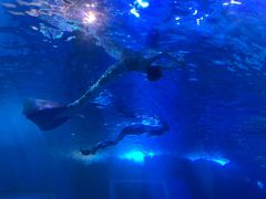 -太平洋海底世界