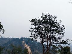 -青龙山国家森林公园