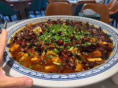 -新概念来凤鱼(璧山店)