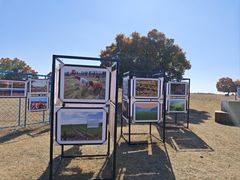 -五角枫生态旅游景区