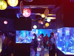 -暹罗海洋世界