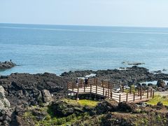 -涉地可支