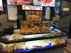 -蟹道乐(道顿堀本店)