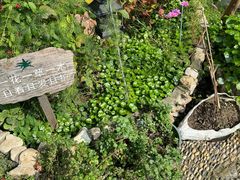 -漫渡庄绿岛花园•隐世庭园菜(滨湖店)