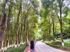 -龙头寺公园