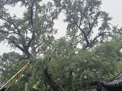 -无锡惠山寺