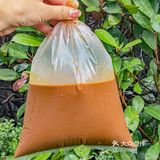 🔥江汉路也有泰式手提奶茶了，只要3.9r‼