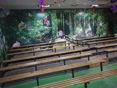 -上海大自然野生昆虫馆(东方明珠·爬宠昆虫探索中心)