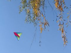 -元大都城垣遗址公园