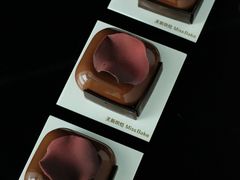 -美斯烘焙培训学院•蛋糕•面包•咖啡(宝安校区)