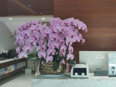 -TSK齿科德申会口腔门诊·联洋诊所