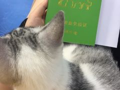-佳怡动物医院·平价24小时·猫专科骨外科