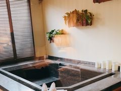 -春晖园度假酒店温泉