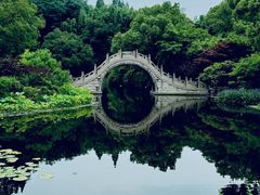 -南园(太仓市)
