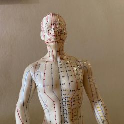 -唯伊美塑身美养连锁